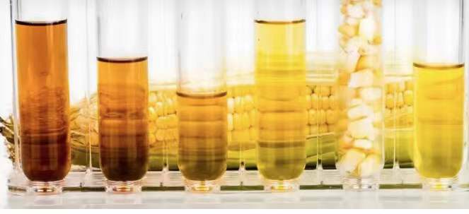 助力粮食增产 — Biacore助力玉米Zmcen蛋白与下游靶肽作用机制研究